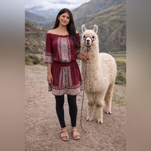 Tularosa SZ MD maroon short dress elastic waist embroidered Roman tunic
